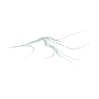 BrainArt-logo-negativo